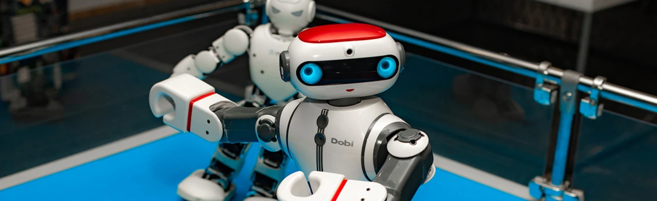 Постер Роботы в Сочи