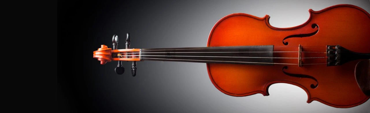 Постер Шедевры Вивальди в Сочи