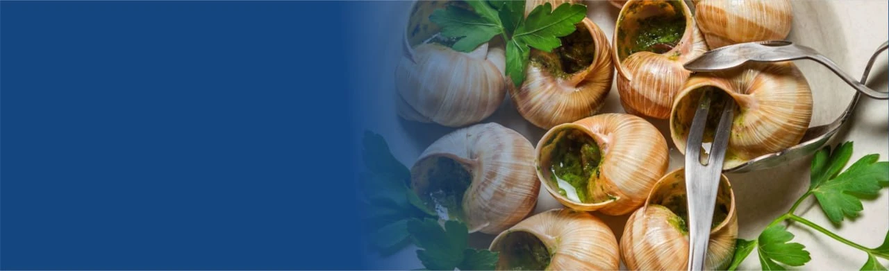 Постер Гастротур на улиточную ферму