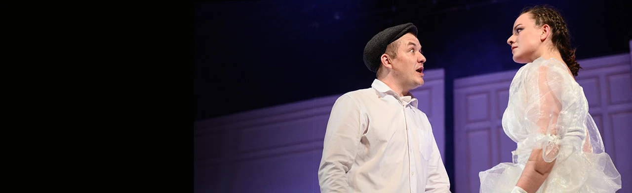 Постер Укрощение строптивой