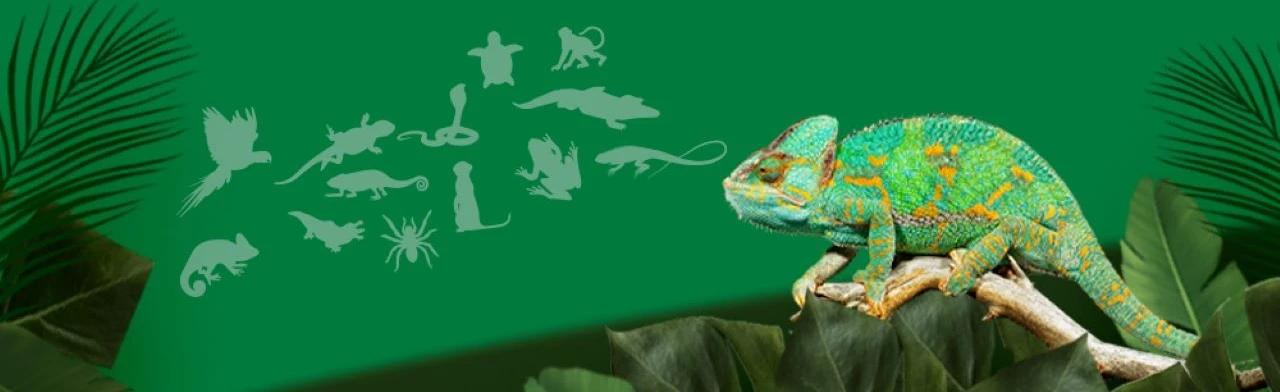 Постер Тульский экзотариум