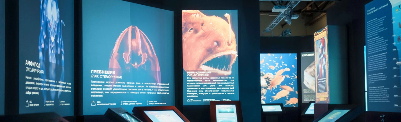 Постер Сборная экскурсия "Планета Океан"