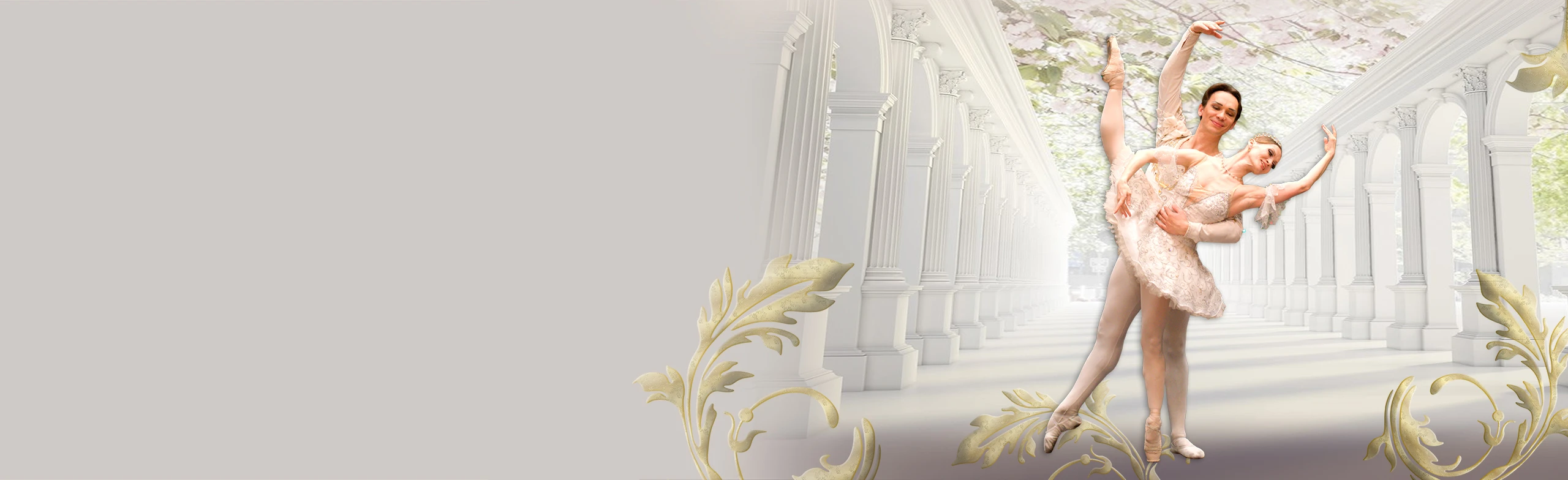 Постер Спящая красавица в Уфе