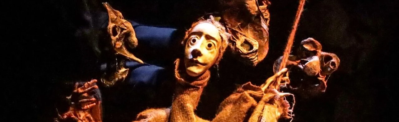 Постер Белый кит в Владивостоке