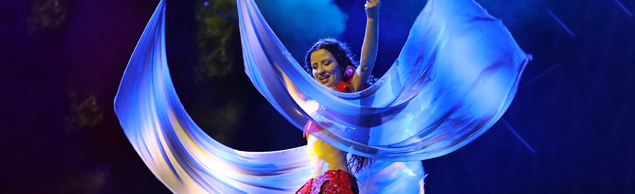 Постер Нотр-Дам в Волгограде