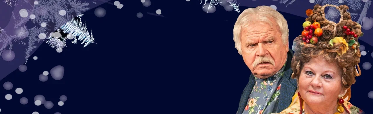 Постер Не в свои сани не садись