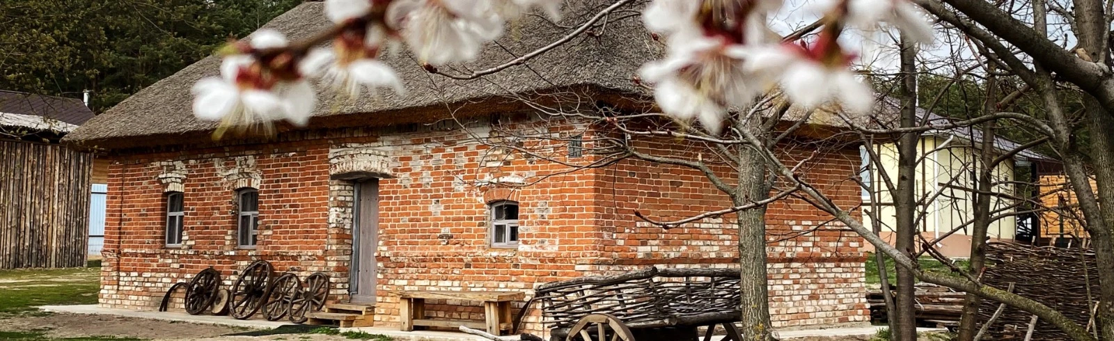 Постер Всё по правде. Экскурсия в Воронеже