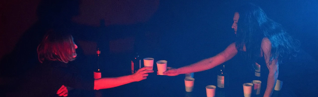 Постер Уличённая ласточка