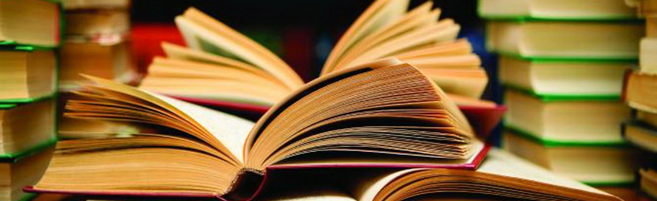 Постер Литературный профи. Интеллектуальная игра в Ярославле