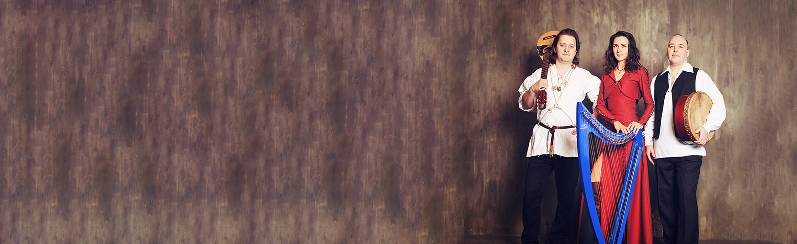 Постер Meldis. Волшебство кельтской арфы