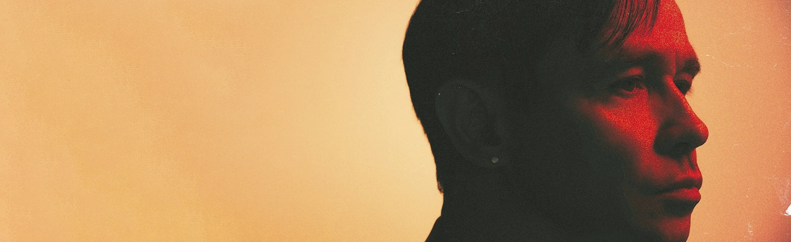 Постер Дельфин (Ярославль)