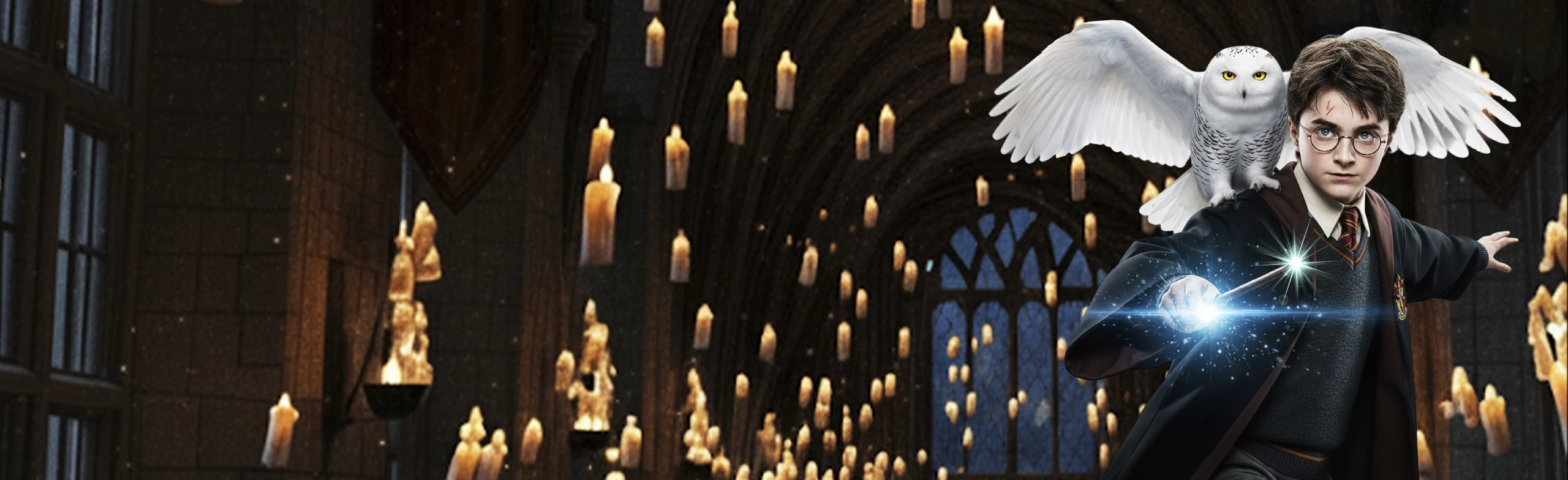 Постер Neo Classic Orchestra. Вселенная Гарри Поттера. Концерт при свечах